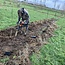 Workshop - Van Weide naar Agroforestry Systeem