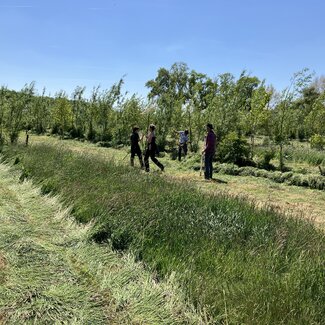 Workshop - Van Weide naar Agroforestry Systeem