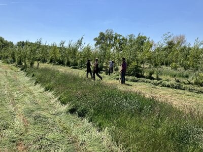 Workshop - Van Weide naar Agroforestry Systeem