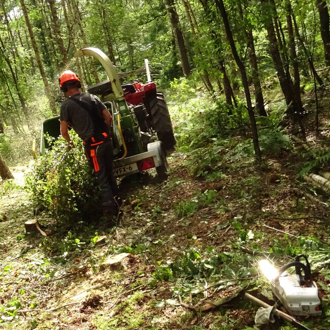 Workshop - Van Bos naar Agroforestry Systeem