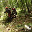 Workshop - Van Bos naar Agroforestry Systeem