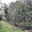 Workshop - Van Bos naar Agroforestry Systeem