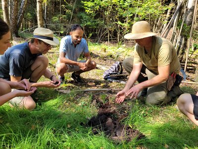 Zomerkamp Syntropische Landbouw