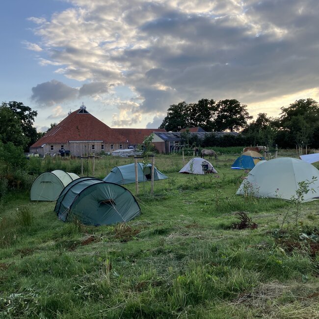Zomerkamp Syntropische Landbouw met Jos Willemsen