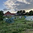 Zomerkamp Syntropische Landbouw met Jos Willemsen