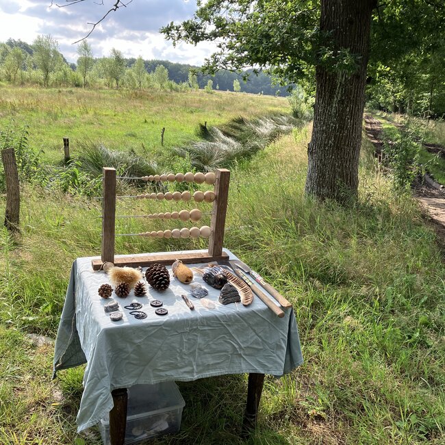 Zomerkamp Syntropische Landbouw met Jos Willemsen