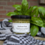 Vitamine Aarde Basilicum Pesto