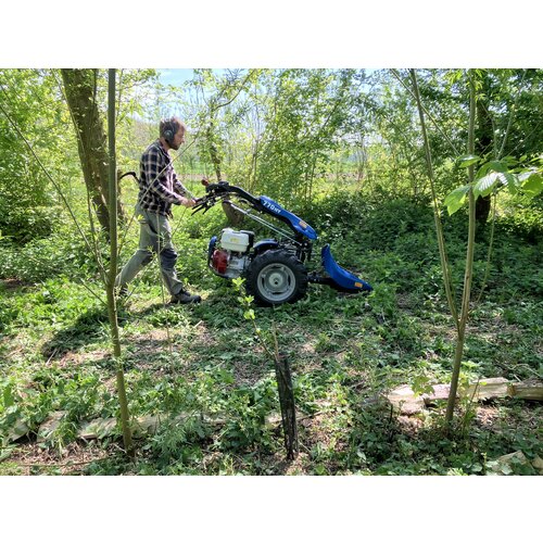 Zomerkamp Syntropische Landbouw met Jos Willemsen