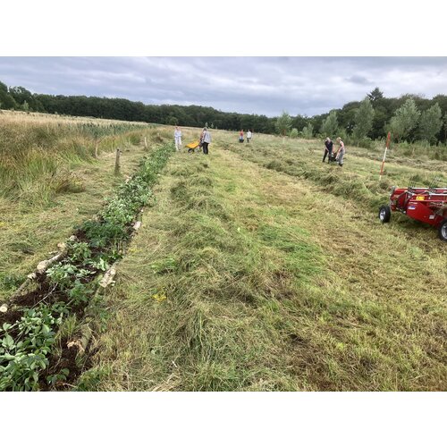 Zomerkamp Syntropische Landbouw met Jos Willemsen