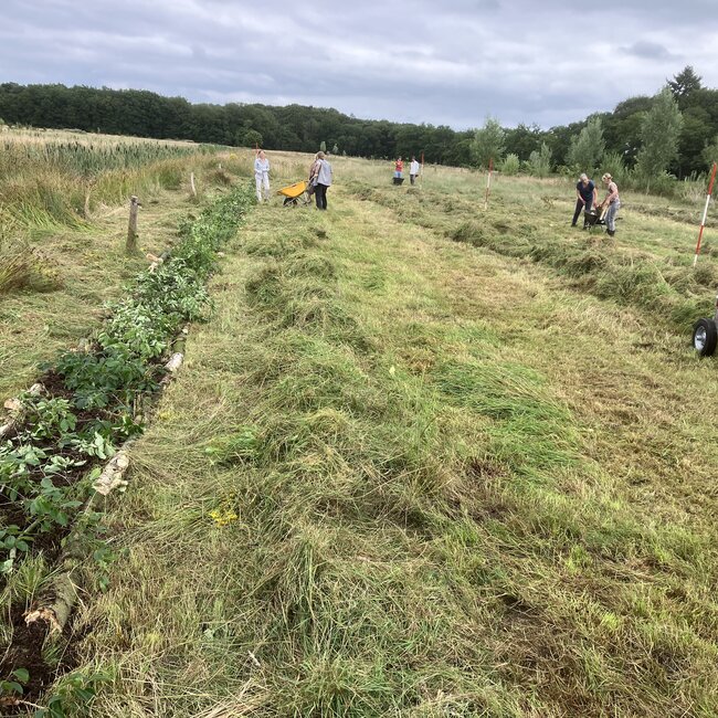 Zomerkamp Syntropische Landbouw met Jos Willemsen