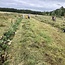 Zomerkamp Syntropische Landbouw met Jos Willemsen