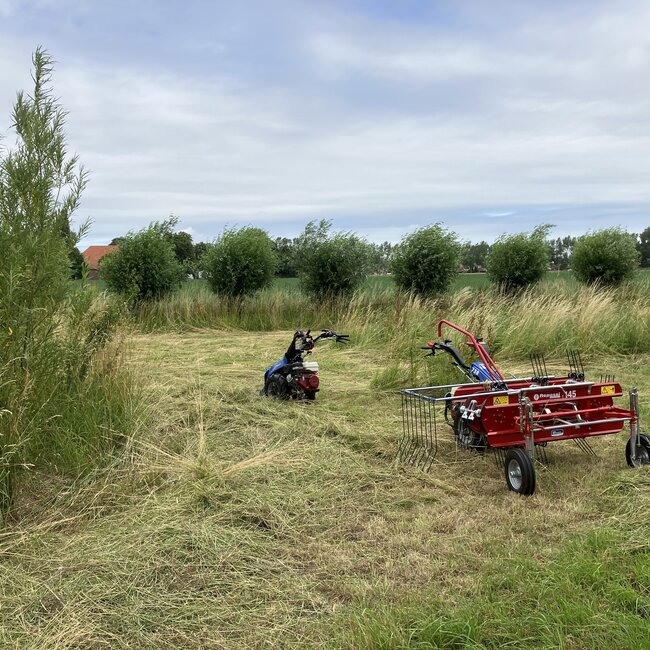 Workshop - Van Weide naar Agroforestry Systeem