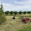 Workshop - Van Weide naar Agroforestry Systeem