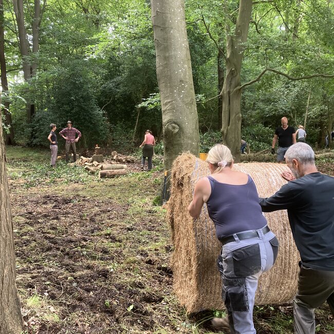 Workshop - Van Bos naar Agroforestry Systeem