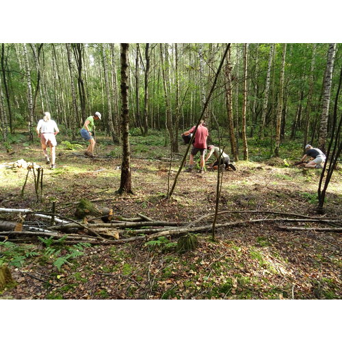 Workshop - Van Bos naar Agroforestry Systeem Workshop - Van Bos naar Agroforestry Systeem