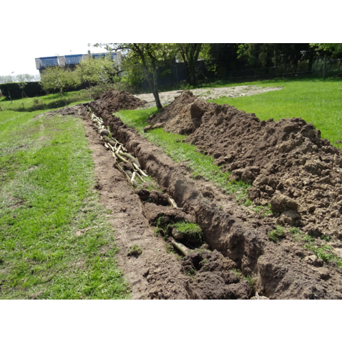 Workshop - Succesvol Bomen Planten