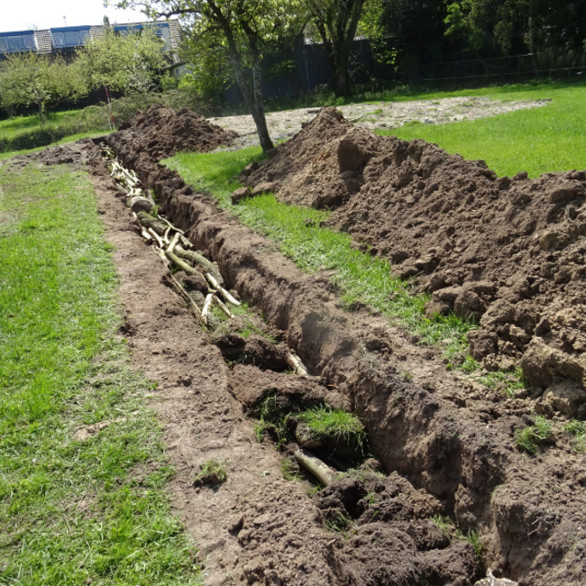 Workshop - Succesvol Bomen Planten