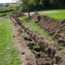 Workshop - Succesvol Bomen Planten