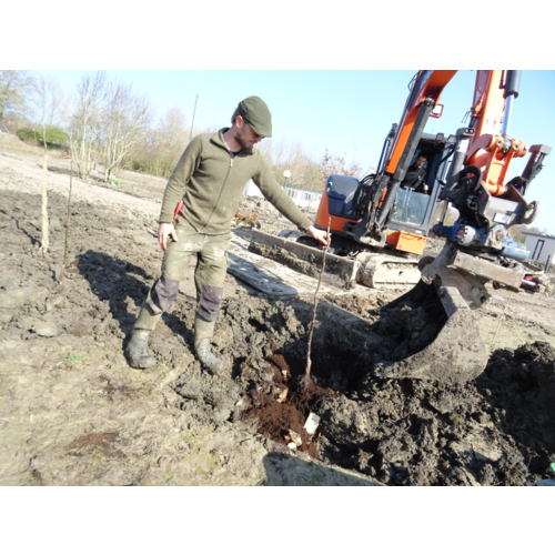 Workshop - Succesvol Bomen Planten