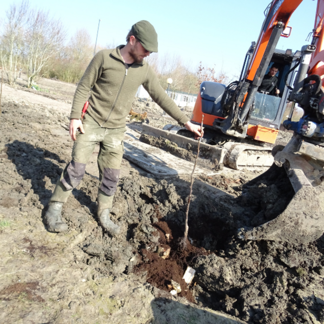 Workshop - Succesvol Bomen Planten