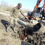 Workshop - Succesvol Bomen Planten