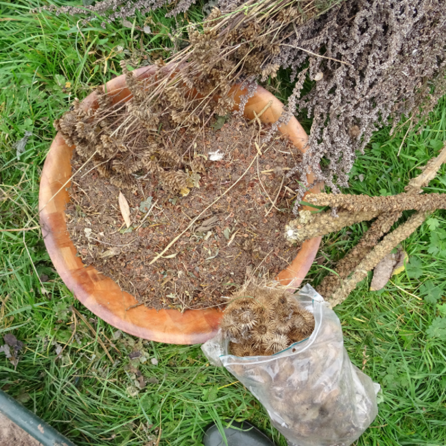 Workshop - Succesvol Bomen Planten