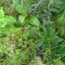 Workshop - Succesvol Bomen Planten