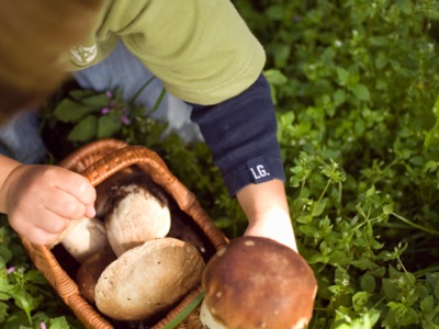 Paddenstoelenwandeling herfstvakantie
