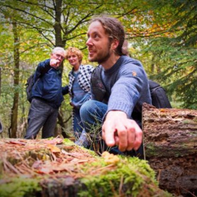 Paddenstoelenwandeling in de herfstvakantie met De Paddenstoelenman