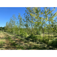 Agroforestry Opleiding Bundel