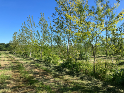 Agroforestry Opleiding Bundel