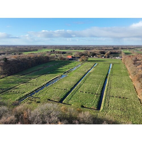 Meewerkdagen Agroforestry 2025 Meewerkdagen Agroforestry 2025