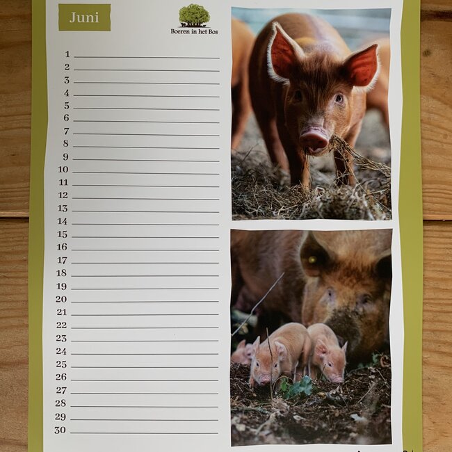 Boeren in het Bos Knorkalender
