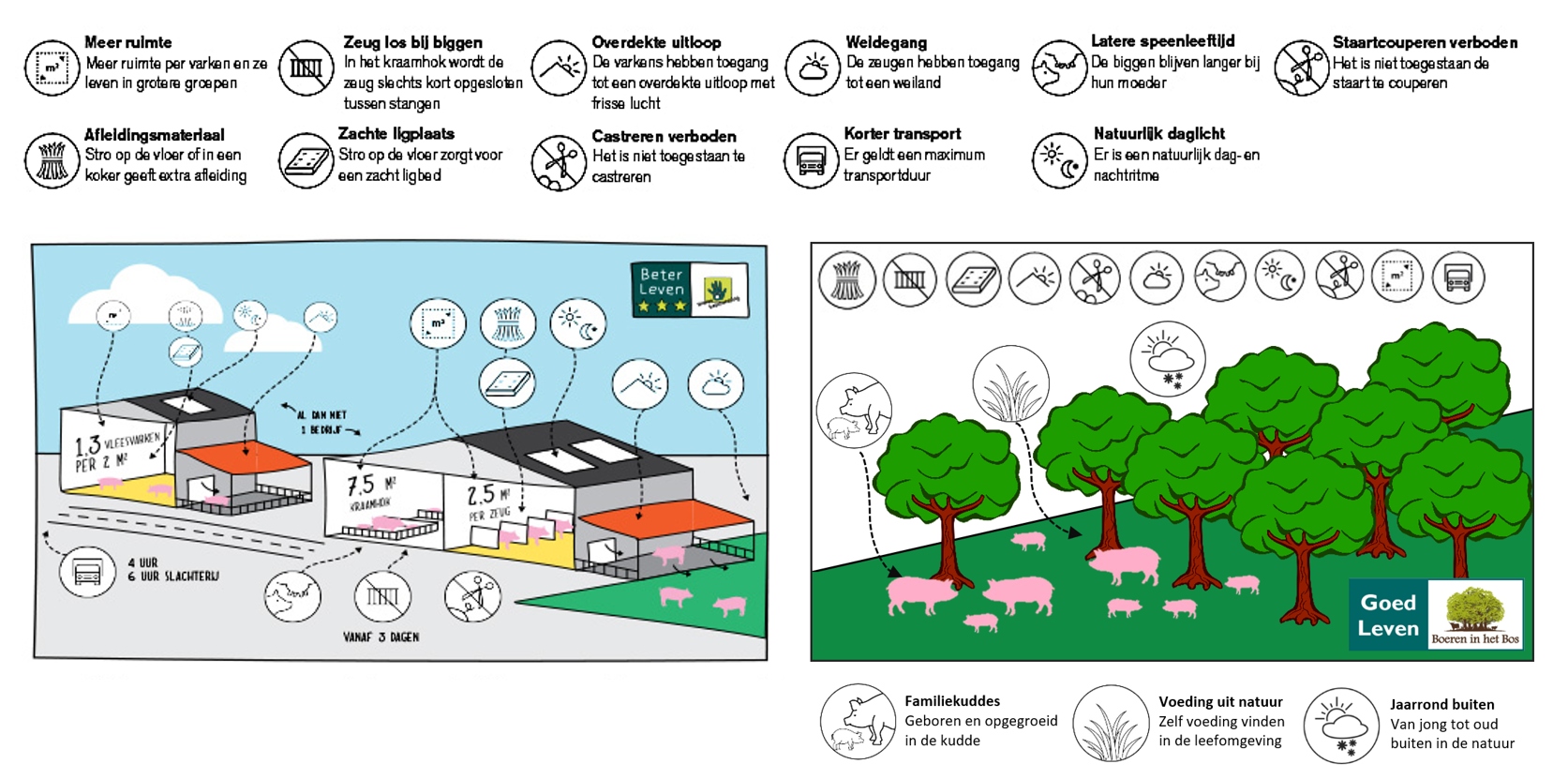 geen beter leven maar gewoon goed leven voor dieren en gezond vlees