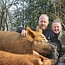 Webinar Start met Regeneratief Boeren – Webinarbundel voor beginners