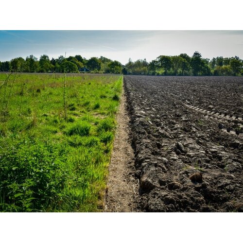 Webinar Start met Regeneratief Boeren – Webinarbundel voor beginners