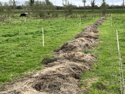 Webinar Webinarbundel met 3 basis webinars