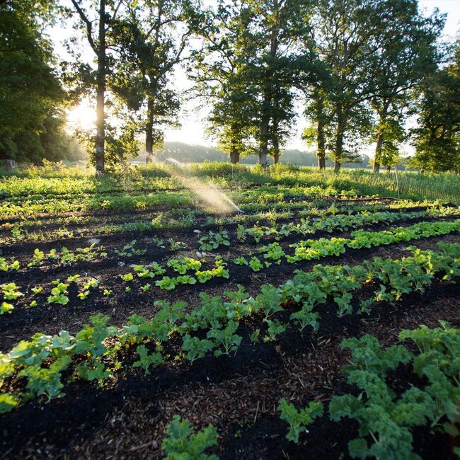 Webinar Start met Regeneratief Boeren – Webinarbundel voor beginners