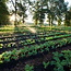 Webinar Start met Regeneratief Boeren – Webinarbundel voor beginners