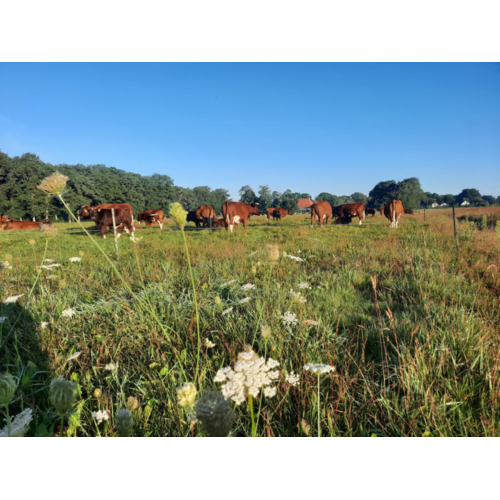Boeren in het Bos Tartaar van grasgevoerd rund