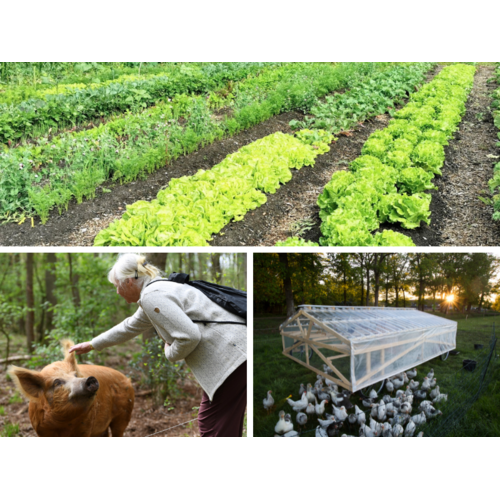 Opleiding Praktijkkamp Regeneratieve Natuurinclusieve Landbouw
