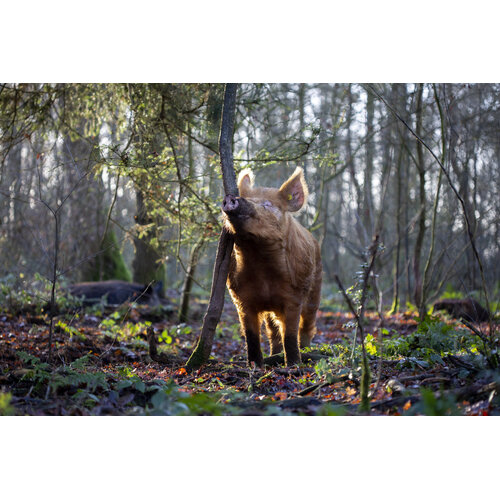 Webinar Start met Regeneratief Boeren – De complete webinarserie