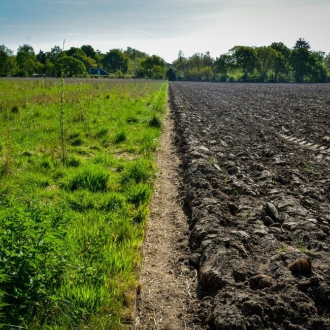 Webinar Start met Regeneratief Boeren – De complete webinarserie