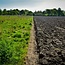 Webinar Start met Regeneratief Boeren – De complete webinarserie
