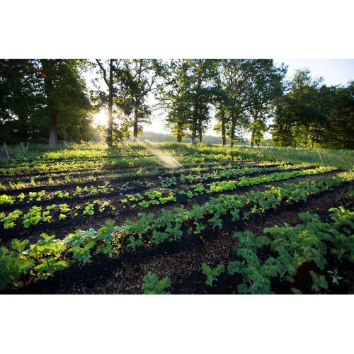 Webinar Start met Regeneratief Boeren – De complete webinarserie