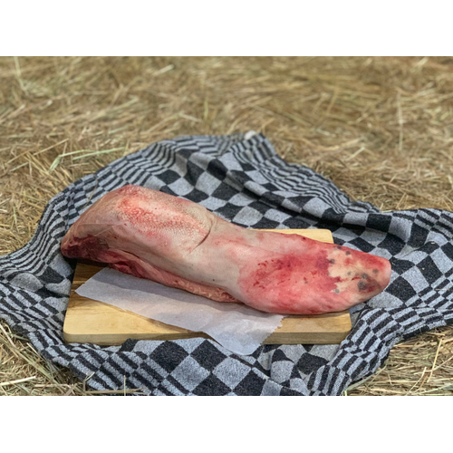 Boeren in het Bos Tong Natuurrund Boeren in het Bos Tong Natuurrund