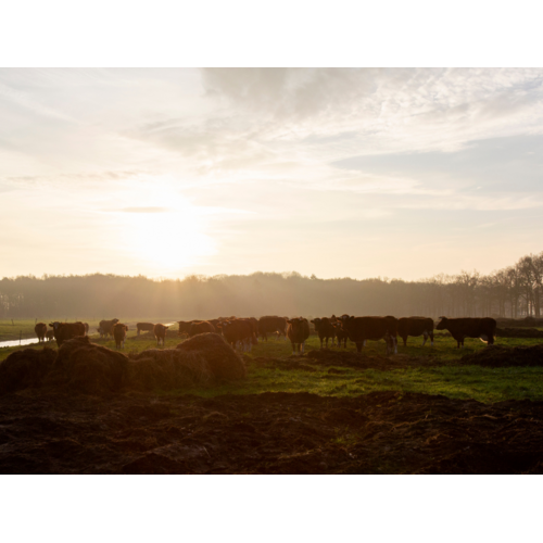Boeren in het Bos Staartstuk Picanha Grasgevoerd Natuurrund