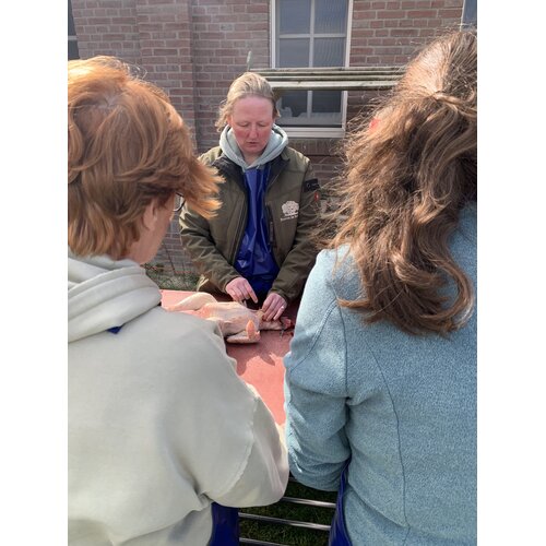 Workshop Zelf een Kip Slachten
