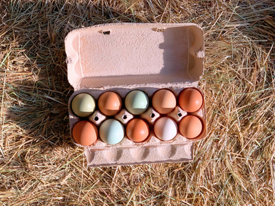 Boeren in het Bos Eier Abonnement