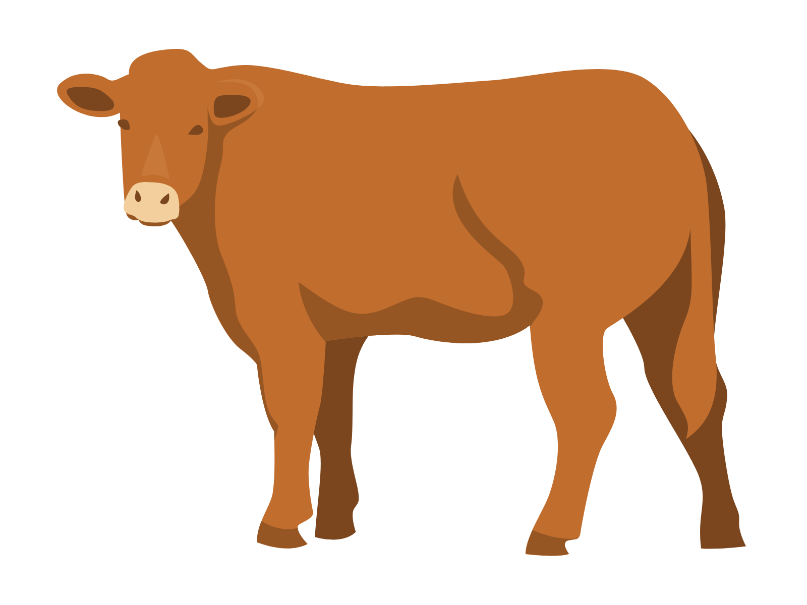 Grasgevoerd rundvlees uit Nederlandse natuur